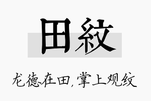 田纹名字的寓意及含义