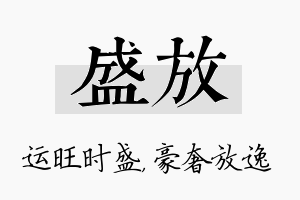 盛放名字的寓意及含义