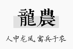 龙农名字的寓意及含义