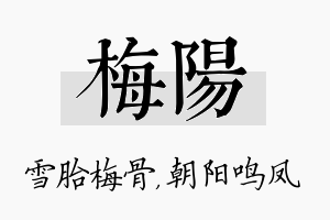 梅阳名字的寓意及含义