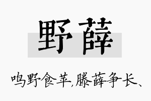 野薛名字的寓意及含义