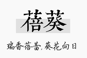 蓓葵名字的寓意及含义