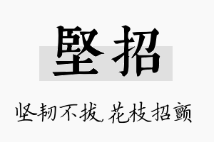 坚招名字的寓意及含义