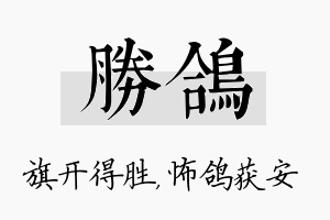 胜鸽名字的寓意及含义