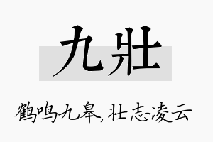 九壮名字的寓意及含义