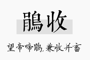 鹃收名字的寓意及含义