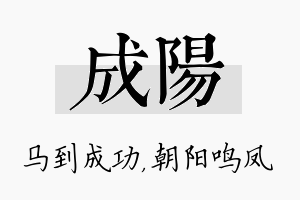 成阳名字的寓意及含义