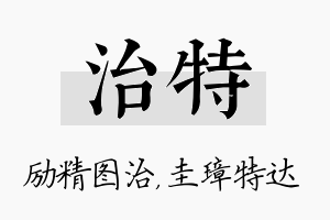 治特名字的寓意及含义