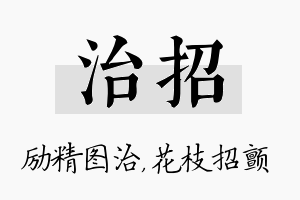 治招名字的寓意及含义