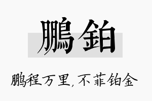 鹏铂名字的寓意及含义