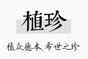 植珍名字的寓意及含义