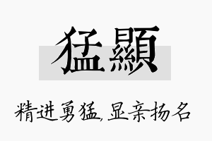 猛显名字的寓意及含义