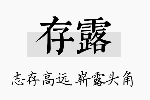 存露名字的寓意及含义