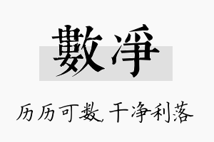 数净名字的寓意及含义