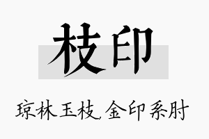 枝印名字的寓意及含义