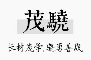 茂骁名字的寓意及含义