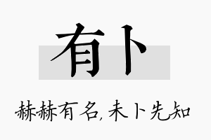 有卜名字的寓意及含义