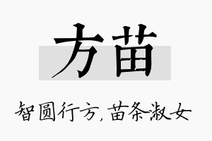 方苗名字的寓意及含义