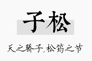 子松名字的寓意及含义