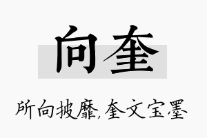 向奎名字的寓意及含义