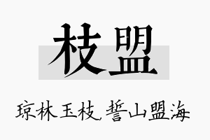 枝盟名字的寓意及含义