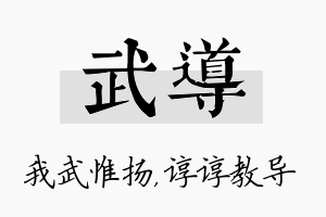 武导名字的寓意及含义