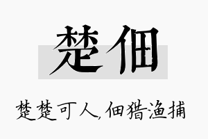 楚佃名字的寓意及含义