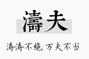 涛夫名字的寓意及含义