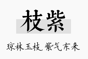 枝紫名字的寓意及含义