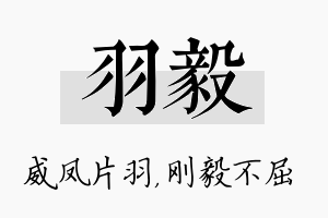 羽毅名字的寓意及含义