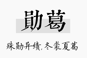 勋葛名字的寓意及含义