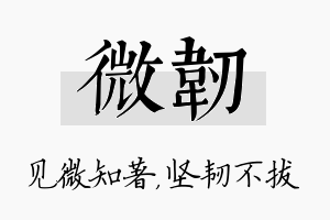 微韧名字的寓意及含义