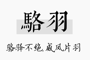 骆羽名字的寓意及含义