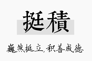 挺积名字的寓意及含义