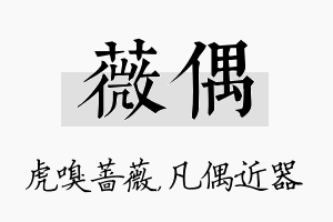 薇偶名字的寓意及含义