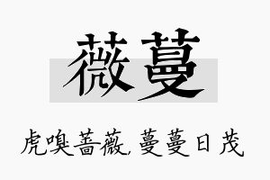 薇蔓名字的寓意及含义