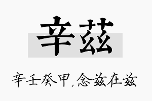 辛兹名字的寓意及含义