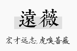 远薇名字的寓意及含义