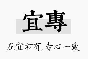 宜专名字的寓意及含义