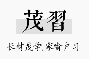 茂习名字的寓意及含义