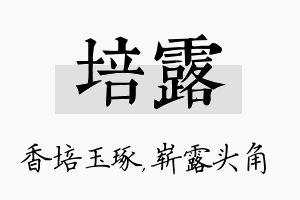 培露名字的寓意及含义