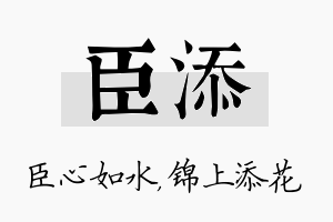 臣添名字的寓意及含义