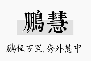 鹏慧名字的寓意及含义