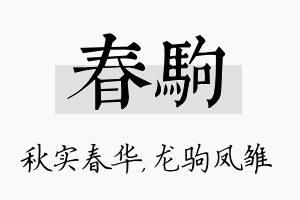 春驹名字的寓意及含义