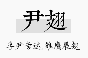 尹翅名字的寓意及含义