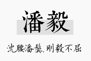 潘毅名字的寓意及含义