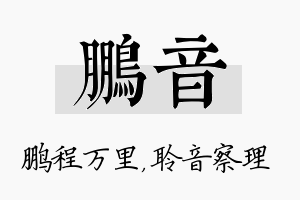 鹏音名字的寓意及含义