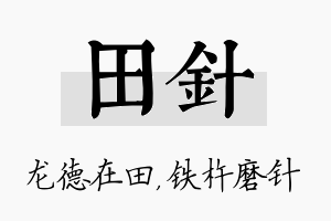 田针名字的寓意及含义