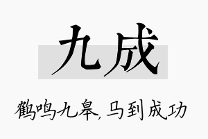 九成名字的寓意及含义