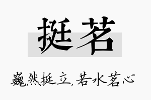 挺茗名字的寓意及含义